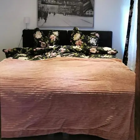 Papillon * Gevelsberg