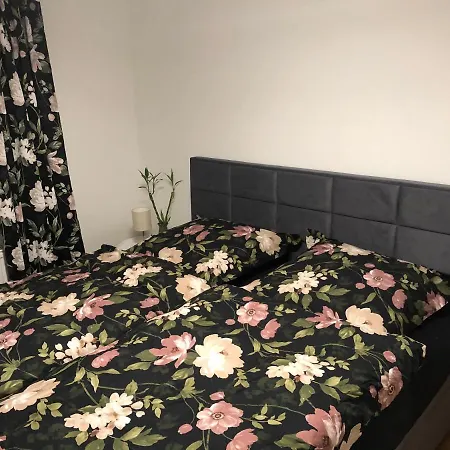 Papillon * Gevelsberg