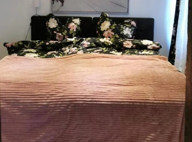 Papillon * Gevelsberg