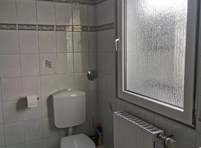 Papillon * Gevelsberg