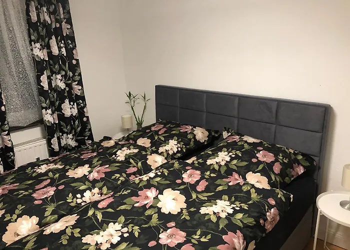 Papillon * Gevelsberg